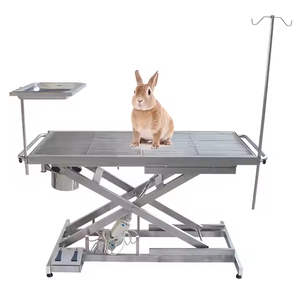 Mesa médica eléctrica para el cuidado <span class=keywords><strong>de</strong></span> mascotas, mesa <span class=keywords><strong>de</strong></span> peluquería para perros con luz LED, mesa <span class=keywords><strong>de</strong></span> aseo veterinario - Product Image 2