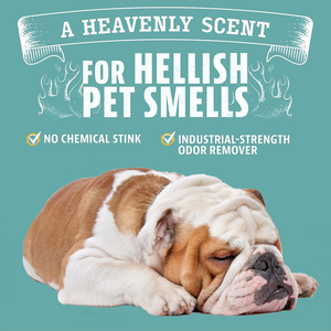 <span class=keywords><strong>Spray</strong></span> Désodorisant pour Animaux de Compagnie aux Agrumes Frais Marque Blanche - Éliminateur d'Odeurs Puissant pour Chiens et <span class=keywords><strong>Maison</strong></span> - Product Image 6