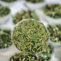Tranches de thé Longjing Dragonwell Mingqian de Hangzhou à prix bas
