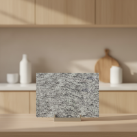 Dalles de granit poli gris de grande taille, haute qualité, haute dureté, résistantes à l'usure, écologiques, pour revêtements de sol, vente en gros DCT