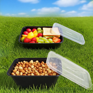 Contenitori per Alimenti da Asporto in Plastica Trasparente da 1000ML, Usa e Getta, Adatti al Microonde, per Ristoranti - Product Image 4