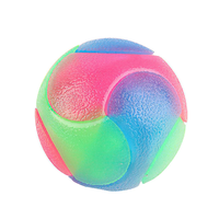 Vente en gros de balles élastiques lumineuses clignotantes, jouet interactif pour chien qui brille dans le noir, jouets pour animaux de compagnie