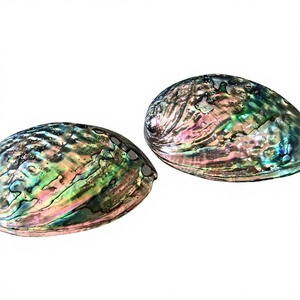 Vietnam <b>Abalone</b> <b>Shells</b> for Crafting Sage Bowl and Natural Home Decoration Polished and Multi Color <b>Shells</b> - Product Image 1