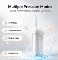 Hydropulseur Portable Mini Sans Fil OEM Personnalisé pour Hygiène Buccale et Nettoyage Dentaire