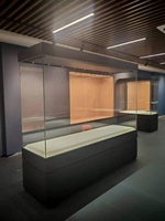 Vitrine de présentation de bijoux de luxe moderne avec éclairage LED pour les magasins de détail et les centres commerciaux