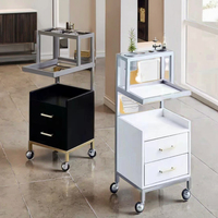 Chariot de salon commercial moderne de haute qualité en métal, chariot à outils de beauté pour atelier en vente de liquidation