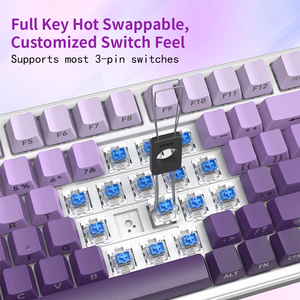 ZT99 RGB <b>Light</b> 99Keys Hot Swappable <b>Switch</b> Keycaps N-Key Rollover Wired 2.4Ghz <b>Wireless</b> Gasket Gaming Mechanical Keyboard ZT99 R - Product Image 4