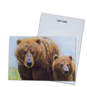 Autocollants lenticulaires 3D anime à mouvements dynamiques (2/3 mouvements changeants) avec logo personnalisé, impression couleur, cartes postales lenticulaires et autres cartes - Product Image 5