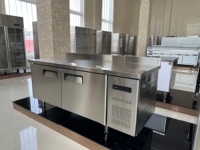 Panel Kulkas Freezer Bawah Meja Siap Pasang, Kulkas Stainless Steel Built-in untuk Dapur Rumah