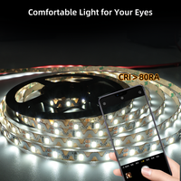 S-Typ 2835 LED-Streifenleuchte 24V 12V IP20 Flexibles Kupfer-PCB Weiches Gleichmäßiges Leuchten Anpassbare Farben & Längen Beleuchtungsingenieur
