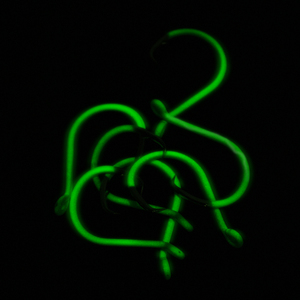 Ami spinati luminosi a forma di pesce gatto a forma di 1/0 10/0 ad alto punto di carbonio per attrezzatura da pesca d'acqua dolce in acqua salata - Product Image 5