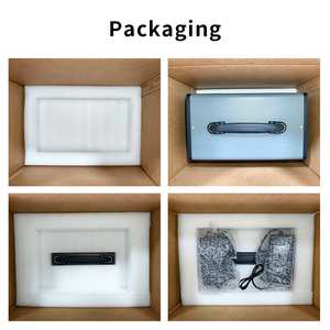 Station d'alimentation <span class=keywords><strong>solaire</strong></span> portable d'urgence pour le <span class=keywords><strong>camping</strong></span> en plein air, petite et bon marché, 300 W, onde sinusoïdale pure, batterie au lithium LiFePO4 192 Wh, <span class=keywords><strong>panneau</strong></span> <span class=keywords><strong>solaire</strong></span> - Product Image 6