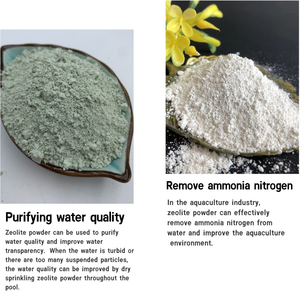 Verde E Branco Natural Zeolite Pó Horticultural Melhoria Do Solo Aquicultura Feed Grade Composto De Argila <span class=keywords><strong>SiO2</strong></span> - Product Image 6
