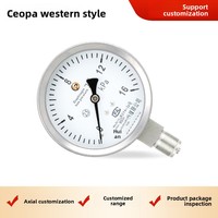 Stainless Steel Diaphragm Pressure Gauge YE-100B High Overpressure KPa Differential Shock-Resistant Single Natural Gas Mainland