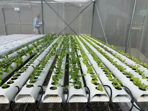 Tubo de PVC tipo A para plantio de vegetais em canal de jardim interno, sistema de cultivo NFT de canal vertical hidropônico
