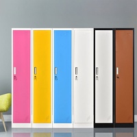 Armoires de rangement métalliques modernes à 1 porte en acier verrouillable avec poignées pour l'école, l'hôtel, l'hôpital et l'usage commercial