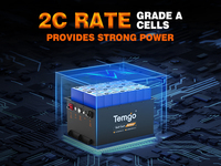 Baterai Mobil Golf TEMGO Lifepo4 100ah 48v Lithium 72v 36v 105Ah dengan Casing Logam untuk Kendaraan Listrik Baterai AVT