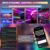 Contrôleur de bande LED RGBW adressable DR04W WiFi SPI DC5~24V, compatible Alexa, Google Home, Smart Life, application Tuya.