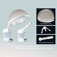 Nébuliseur Électrique Portable, Vaporisateur Facial et Capillaire, Appareil de Soin Personnel et de Beauté, Brumeur Facial Nano, Machine à Airbrush