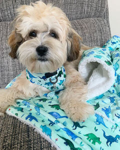 ผ้าห่มขนแกะผ้าสักหลาดพิมพ์ลายอบอุ่นผ้าห่มสัตว์เลี้ยงดีไซน์ขนาดสุนัขแมวออกแบบได้ตามต้องการ - Product Image 6