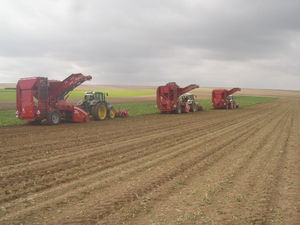 حصادة بنجر السكر الهيدروليكية الأوتوماتيكية، حصادة بنجر ثقيلة عالية الكفاءة، آلة حفر البنجر - Product Image 5