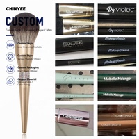 Ensemble professionnel de pinceaux pour les yeux et les lèvres, fibres synthétiques, manche en plastique, paillettes décoratives, ensemble de pinceaux de maquillage
