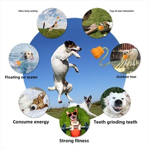 Juguete interactivo <span class=keywords><strong>para</strong></span> <span class=keywords><strong>perros</strong></span> superventas de Mazon, bola mordedora de calabaza lanzada a mano, venta al por mayor, mascotas populares hechas de plástico - Product Image 4