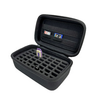 Étui de rangement portable en EVA rigide pour clés USB, cartes mémoire SD TF multi-emplacements, antichoc, sac organisateur d'accessoires électroniques
