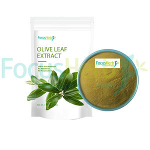 FocusHerb USA Entrepôt Extrait de plantes de qualité alimentaire Poudre d'oleuropéine de feuille d'olivier 40% HPLC - Product Image 3