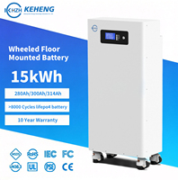 Batterie Lifepo4 15 kWh, pack de batteries au lithium 51,2 V 15 kW, 300 Ah, 280 Ah, 14 kWh LFP 48 V, batteries de stockage d'énergie pour système solaire domestique