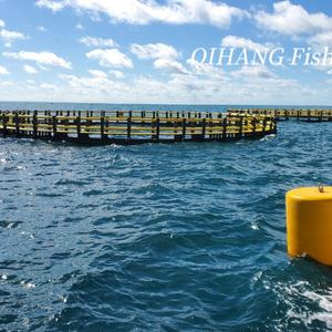 Vente de <span class=keywords><strong>pont</strong></span> de plate-forme de ponton en plastique de poisson flottant de flotteur marin - Product Image 2