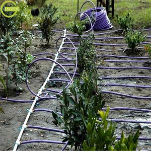 Sistema de Riego por Goteo para Granja de <span class=keywords><strong>1</strong></span> <span class=keywords><strong>Hectárea</strong></span> <span class=keywords><strong>en</strong></span> Oferta - Product Image 5