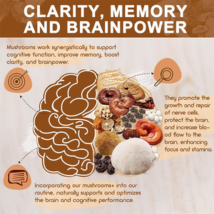 Ekstrak Jamur Super Organik Vegan Lion Mane Turkey Tail Maitake Reishi Shiitake 14 in 1 Kompleks Kapsul Suplemen Kesehatan - Product Image 5