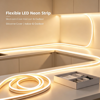 Bande lumineuse LED flexible en silicone étanche IP67 avec télécommande 24V DC pour éclairage intérieur et extérieur