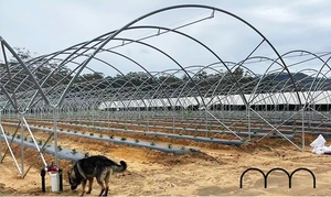 Lớn Nông Nghiệp Nhà kính cho Dâu Tây nho Raspberry cây bền PE nhựa nhà kính - Product Image 2