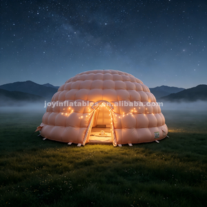 Carpa Domo Inflable Comercial Personalizada de Gran Tamaño para Festivales al Aire Libre con Construcción de Calidad Premium para Empresas de Alquiler de Eventos - Product Image 4