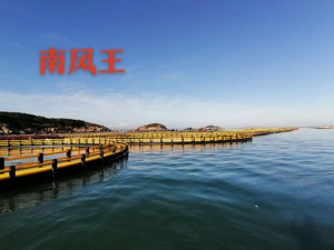 ตัวเลือกการเลี้ยงสัตว์น้ำสำหรับผู้เริ่มต้น: กระชังปลา HDPE ระดับเริ่มต้น ขนาดเส้นรอบวง 30 เมตร - Product Image 4