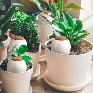Pot auto-arrosant pour plantes paresseuses, design européen, en <span class=keywords><strong>terre</strong></span> <span class=keywords><strong>cuite</strong></span>, avec picots d'arrosage, en céramique artisanale, arroseur goutte-à-goutte automatique, absorbant pour voyage - Product Image 4