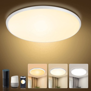 Homekit-lámpara de techo inteligente para el hogar, luz blanca y negra con Wifi, Control por voz, para dormitorio, interior, restaurante - Product Image 3