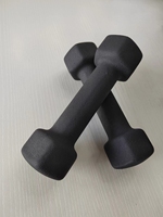 IUNNDS Ensemble d'haltères hexagonales réglables avec logo personnalisé, 0,5-10 kg, poids libres pour fitness des bras, en fonte avec revêtement PVC antidérapant