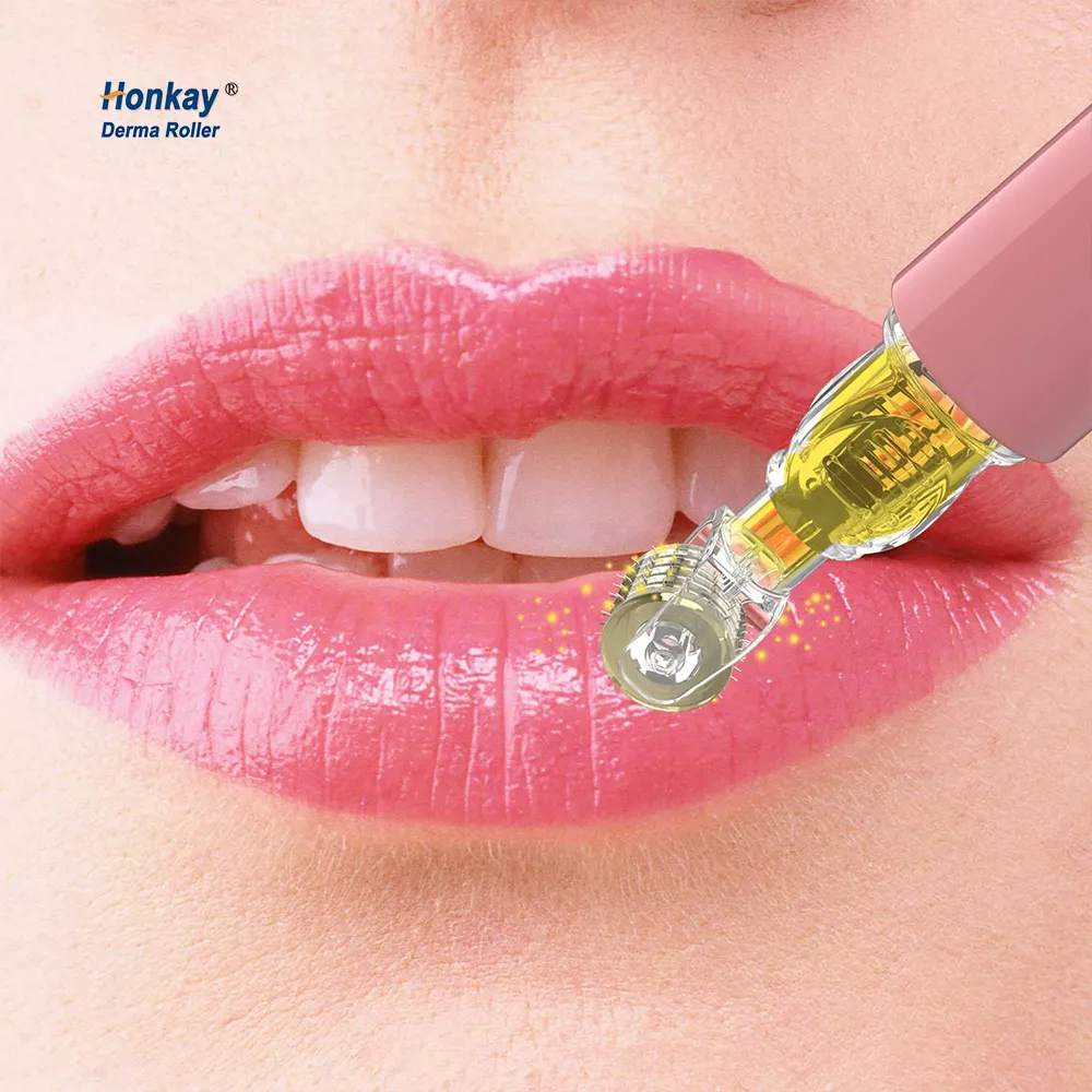 שימוש ביתי מיני רולר מיקרונידלינג 105 פינים לרולר יופי לטיפוח שפתיים