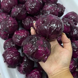 Pelota Antiestrés de Repollo Morado Hecha a Mano, Textura Crujiente, Sensorial, para Aliviar el Estrés y Herramienta Divertida para Ventilar Emociones - Product Image 4