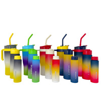 Ensemble de 3 bouteilles d'eau : Bouteille d'eau de motivation en plastique pour voiture et sport avec paille