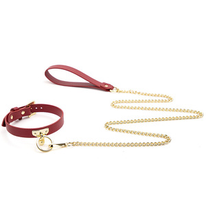 Collier pour chien en cuir avec laisse en chaîne, couleur or, jouets pour adultes - Product Image 2