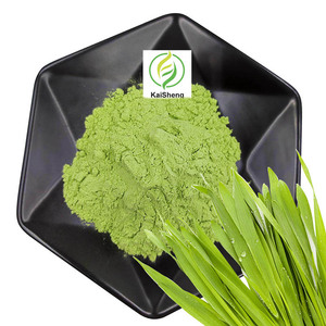 Extrato De Suco De Grama De Cevada Em Pó Grama De Trigo <span class=keywords><strong>Wheatgrass</strong></span> Em Pó - Product Image 2