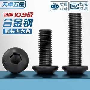 Tianzhuo Hardware Pan Head Hex Socket Cap Screws M2 M3 M4 M5 M6 M8 M10 M12 M16 M20 Grade 10.9 Black Alloy Steel Fasteners - Product Image 3