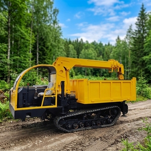 Compact 3 Ton Crawler Mounted <b>Crane</b> All Terrain Hydraulic Equipment - Product Image 6