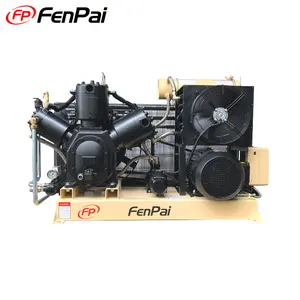 Fenpai 15kw 3mpa 46cfm Industriële Waterkoeling Zuiger Compressor Hoge Druk Compressor