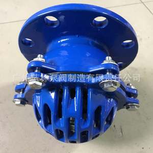 Válvulas de Pie para Bomba de Agua H42X-10Q/16Q de Fábrica, Sin Fugas, con Brida, Silenciador y Estructura de Retención - Product Image 1