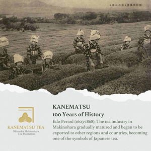 Té Verde Matcha Puro en Polvo a Granel, Bolsa de 1 kg, Grado de Cocina - Product Image 4